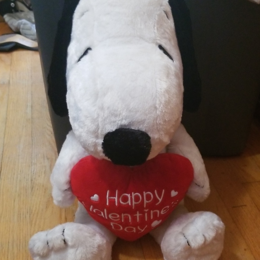 Lg Valentine Stuffed Snoopy